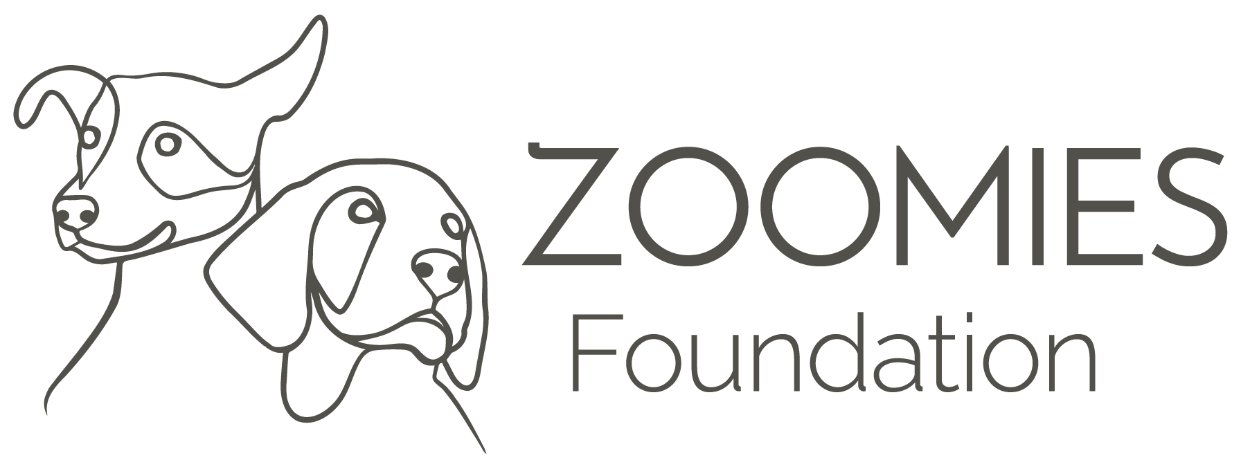 Zoomies Foundation