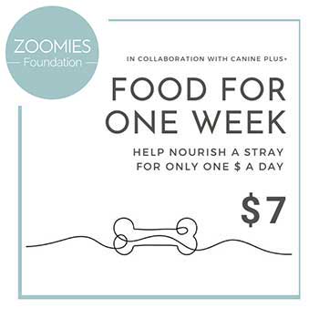 Zoomies Foundation