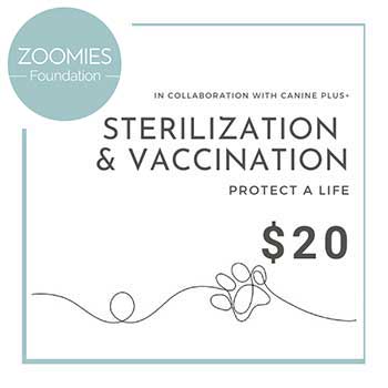 Zoomies Foundation