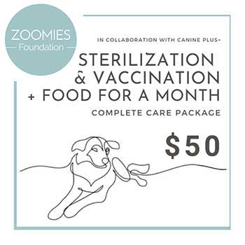 Zoomies Foundation